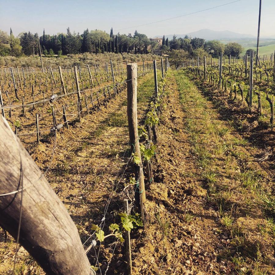Agriturismo Pometti - Fattoria La Selva Trequanda Εξωτερικό φωτογραφία